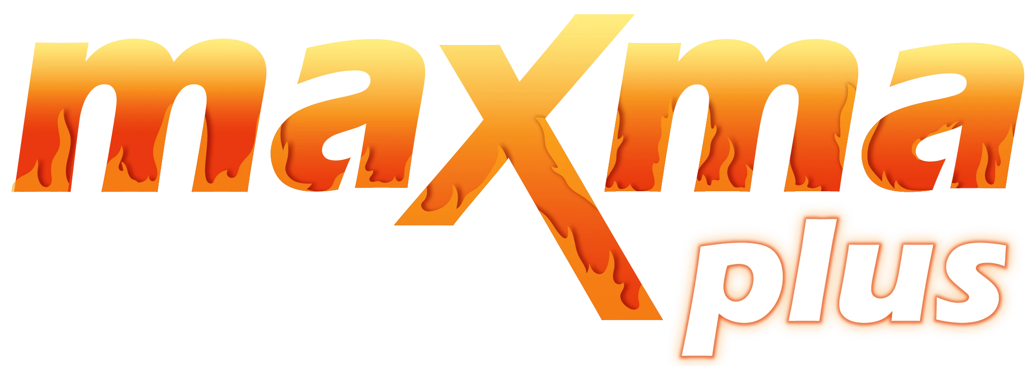 Logo MAXMAPLUS